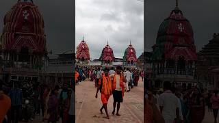 To Bahudare Kaliare  Ratha De Gadei 12724Ratha Jatra puri jagannath purirathayatra shortvideo [upl. by Andromada36]