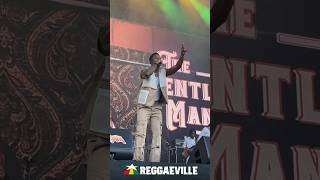 Romain Virgo  Summerjam 2024 🔥 Cologne Germany reggaeville [upl. by Moreland]