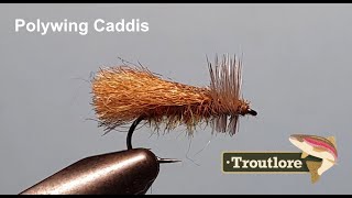 Poly Wing Caddis Dry Fly Pattern  Troutlore Fly Tyng [upl. by Uaerraj201]