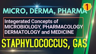 STAPHYLOCOCCUS AUREUS  Microbiology  Dermatology Skin Infection Pharmacology ANTIBIOTICS NEETPG [upl. by Arihay]