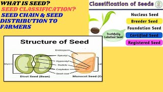 WHAT IS SEED  CLASSIFICATION OF SEED   TYPES OF SEED   VIJ HORTICULTURIST [upl. by Aenaj]