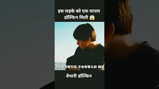 बेचारी Dolphin 🐬🥺  Movie Explains In Hindi shorts dolphin movieexplainedinhindi [upl. by Gwenette]