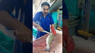 How to fillet a trout for frying fishcutting [upl. by Mirabella181]