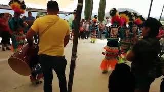 Los matachines de cárdenas SLP [upl. by Esilahc579]