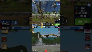 PTERODACTYLUS ALL EVOLUTION amp PTERODACTYLUS ALL ANIMATION  Jurassic World The Game [upl. by Imoyik]