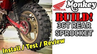 2019 Honda Monkey Build 36T Rear Sprocket InstallRideReview [upl. by Hudis942]