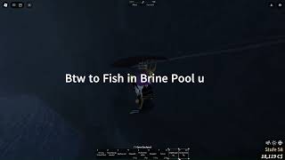 How to get to the Brine Pool in Roblox Fish [upl. by Lucias956]