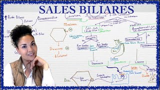 Metabolismo de Sales Biliares [upl. by Klarrisa834]