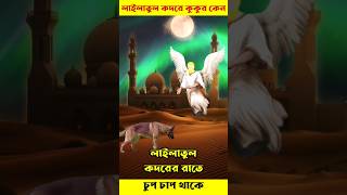 লাইলাতুল কদরের রাতে কুকুর কেন চুপ থাকে  Lailatul Qadr  Shab E Qadr [upl. by Maureen]