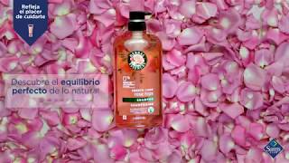 Aprovecha los beneficios de los pétalos de rosa con Herbal Essences [upl. by Efram]