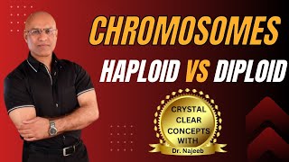 Basics of Chromatids  Haploid vs Diploid Chromosomes🦠 [upl. by Jayson]