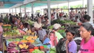 ROSIGNOL FISH MARKET TODAYGUYANA FISH MARKETBill RogersThe weed song [upl. by Fanchet]