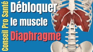 Diaphragme comment débloquer détendre ce muscle pour soigner le dos [upl. by Cima]