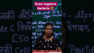 Gram negative bacteria 🦠 microbiologybiology shortseducationalvideo [upl. by Anikes]