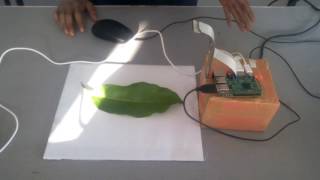 Plant leaf disease detection using image processing [upl. by Cato]