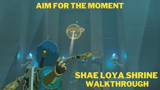 Shae Loya Shrine Walkthrough  Zelda BOTW [upl. by Hannavahs]