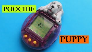 Тамагочи щенок Пучи  Poochie Puppy Virtual Pet Review [upl. by Milburt]