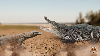 Crocodile vs Komodo Dragon  The Final Verdict 2022 [upl. by Murtagh]