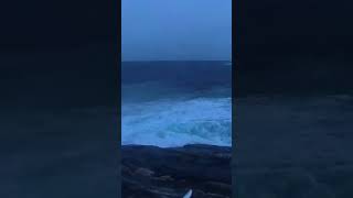 WATCH Fish hits weatherman in the face amid Norway’s worst storm in 30 years shorts [upl. by Caro509]