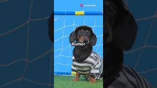 Follow and subscribe to my channel viral fact football footballgames footballer footballtime [upl. by Aicert]