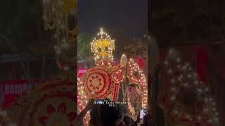 Kandy Esala Perahera  Sri Lanka  2024 srilanka shorts [upl. by Gnuj]