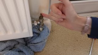 Leaking radiator valve A two minute easy fix No draining down Anyone can do it [upl. by Hodgson]