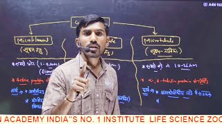 Centrosome centriolemicrobodies cytoskeleton Cell biology NEET part 9by TULCHHA RAM sir [upl. by Nednyl31]