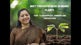 NEET Photosynthesis In Higher Plants Part2 Chloroplast Photosystem Pigements [upl. by Mcwilliams]