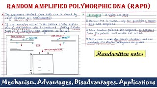 Random amplified polymorphic DNA RAPD [upl. by Nednerb536]