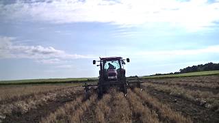 Case IH 140 amp 115 pulling red kidney beans [upl. by Yelbmik]