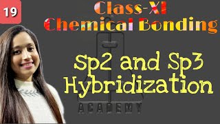 ClassXI Chemical Bonding sp2 hybridization sp3 hybridization SB Academy Chemistry [upl. by Joselyn]