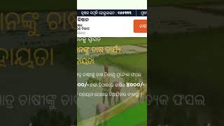 pm kisan beneficiary status checkpm kisan beneficiary status checkodisha shorts shortvideo [upl. by Annad233]