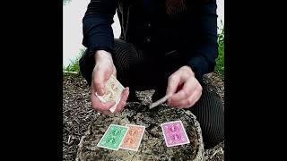 Colourful Cards magic trick  illusion [upl. by Fosque]