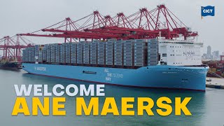 Welcome MV Ane Maersk  CICT  2024  maersk [upl. by Delaryd]