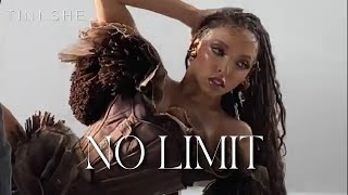 Tinashe  No Limit Lyric Video [upl. by Hakeem887]