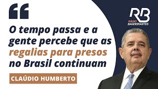 Conselho Nacional aprova projeto de canis e gatis em presídios para diminuir penas [upl. by Daugherty]