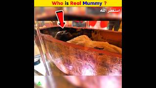 Who is Pharaoh Real Mummy  Arslan Speaks shortsfeed amazingfacts pharoah real mummy [upl. by Shifra122]