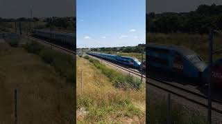 Ouigo en freinage LGV BPL train sncf trainspotting chemindefer tgv france railway hightspeed [upl. by Omer]