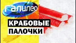 Галилео  Крабовые палочки 🦀 Crab sticks [upl. by Bosch]