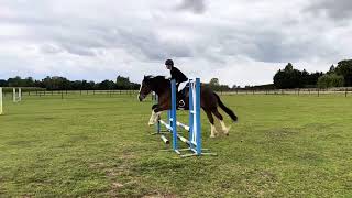 BB Brook C Test Show Jumping [upl. by Ikuy]