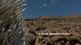 The Wild Sheep of Mauna Kea  A Hunting Story FULL [upl. by Hildegarde]