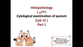 cytological examination of sputum Lab15مممروه عبد الكاظم \الامراض النسيجية العملي \ [upl. by Adaline]