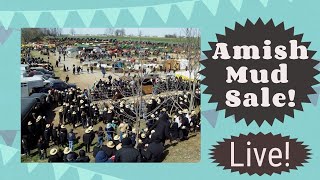 Amish quotMud Salequot auction Gordonville PA [upl. by Apul640]