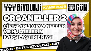 10 Çift Zarlı Organeller  2025 TYT Biyoloji Kampı 10 Video [upl. by Anan]