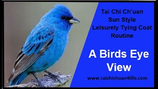 A Sun style Tai Chi routine  Leisurely Tying Coat  quotA Birds Eye Viewquot [upl. by Hamish567]