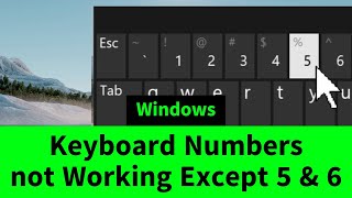 Keyboard Numbers Row Not Working Except 5 amp 6 Six Possible Solutions [upl. by Aivataj]