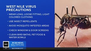 Mosquito spraying Wednesday in Baltimore County after first West Nile Virus case [upl. by Huei230]