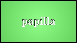 Papilla Meaning [upl. by Ahtiek]