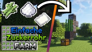 Zuckerrohr FARM in Minecraft I Minecraft Zuckerrohr [upl. by Ahseyi]