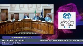 MEDIAZIONE NEGOZIAZIONE ASSISTITA  PRIMO INCONTRO 05072023 [upl. by Mutua]